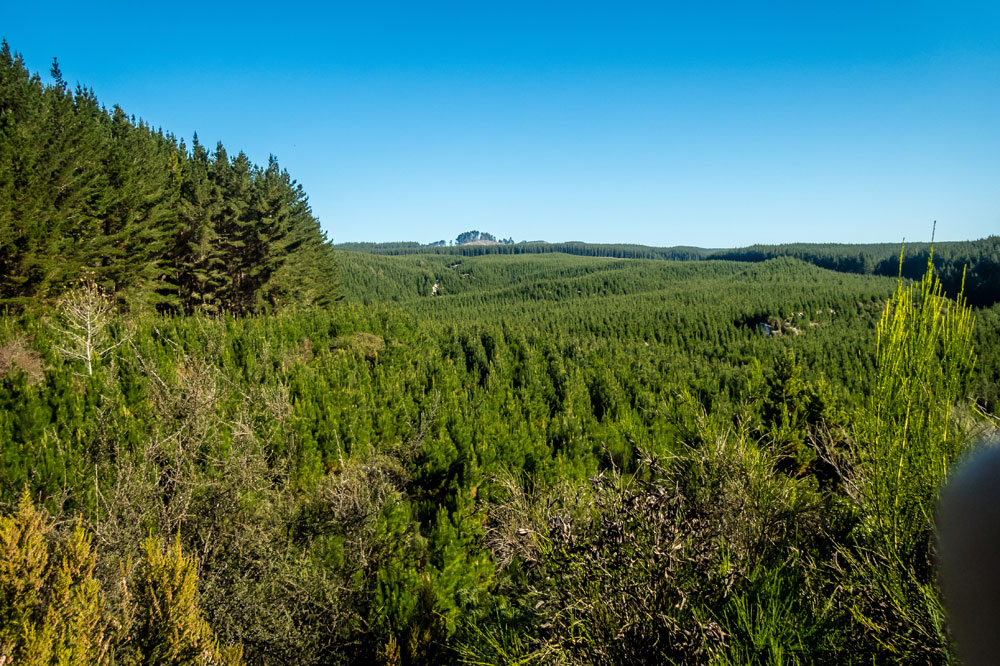 New Zealand